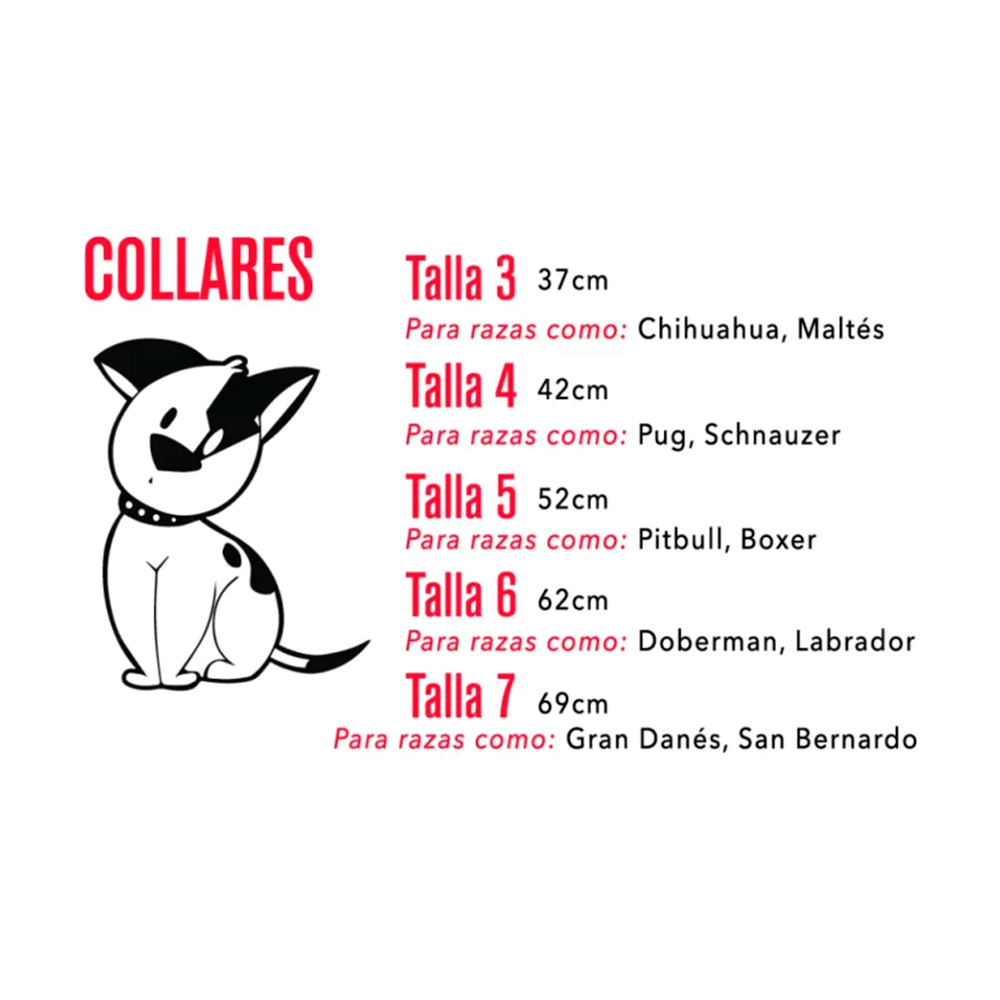 Collar Perro Cool Can Collar Perro Cool Can